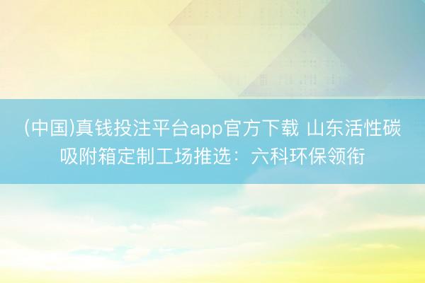 (中国)真钱投注平台app官方下载 山东活性碳吸附箱定制工场推选：六科环保领衔