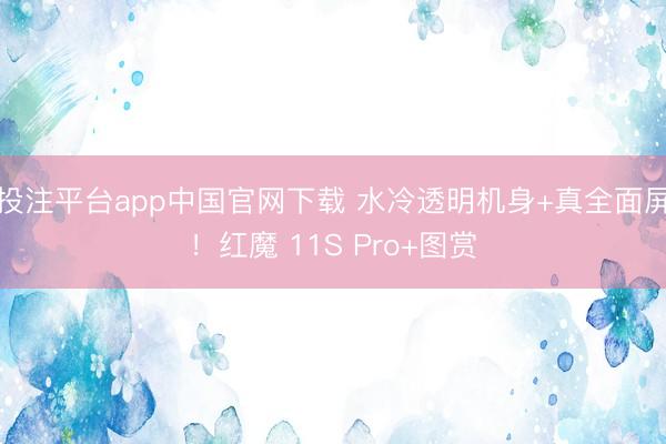 投注平台app中国官网下载 水冷透明机身+真全面屏！红魔 11S Pro+图赏