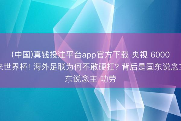 (中国)真钱投注平台app官方下载 央视 6000 万拿来世界杯! 海外足联为何不敢硬扛? 背后是国东说念主 功劳
