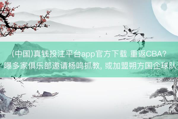 (中国)真钱投注平台app官方下载 重返CBA? 曝多家俱乐部邀请杨鸣抓教， 或加盟朔方国企球队