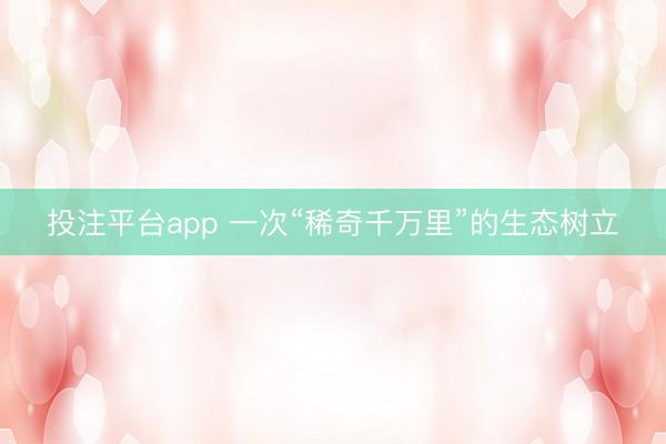 投注平台app 一次“稀奇千万里”的生态树立
