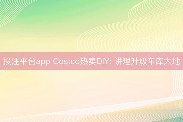 投注平台app Costco热卖DIY: 讲理升级车库大地