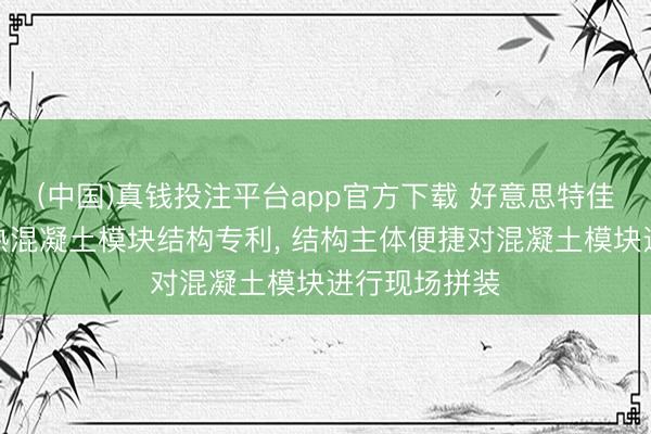 (中国)真钱投注平台app官方下载 好意思特佳获得保温隔热混凝土模块结构专利， 结构主体便捷对混凝土模块进行现场拼装