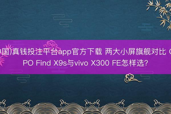 (中国)真钱投注平台app官方下载 两大小屏旗舰对比 OPPO Find X9s与vivo X300 FE怎样选？