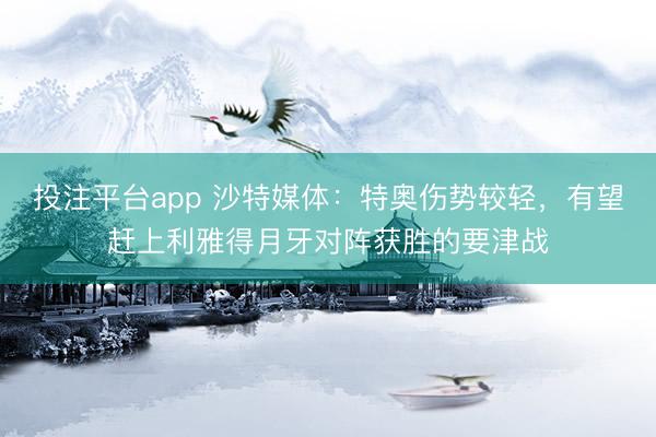 投注平台app 沙特媒体：特奥伤势较轻，有望赶上利雅得月牙对阵获胜的要津战