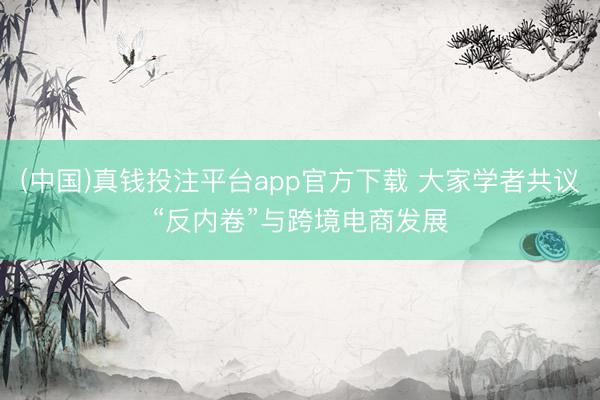 (中国)真钱投注平台app官方下载 大家学者共议“反内卷”与跨境电商发展