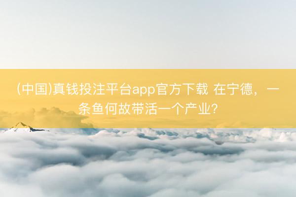 (中国)真钱投注平台app官方下载 在宁德，一条鱼何故带活一个产业？