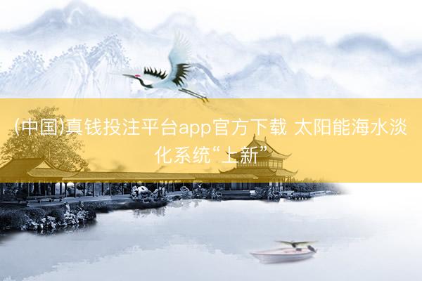 (中国)真钱投注平台app官方下载 太阳能海水淡化系统“上新”