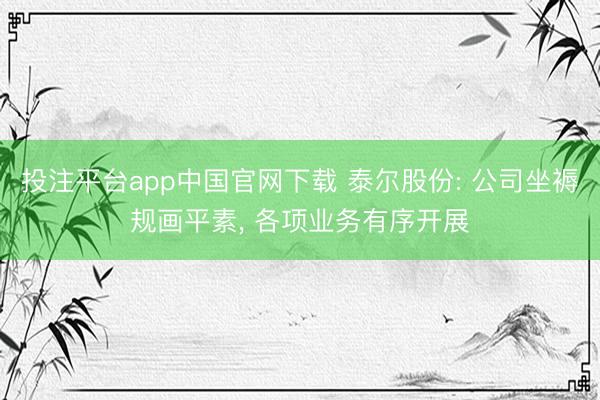 投注平台app中国官网下载 泰尔股份: 公司坐褥规画平素， 各项业务有序开展