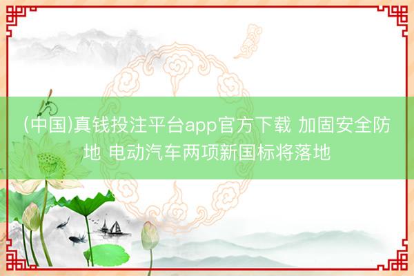 (中国)真钱投注平台app官方下载 加固安全防地 电动汽车两项新国标将落地