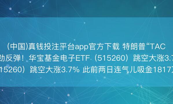 (中国)真钱投注平台app官方下载 特朗普“TACO”主导市集!芯片股强劲反弹!华宝基金电子ETF(515260)跳空大涨3.7% 此前两日连气儿吸金1817万
