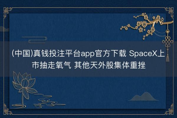 (中国)真钱投注平台app官方下载 SpaceX上市抽走氧气 其他天外股集体重挫