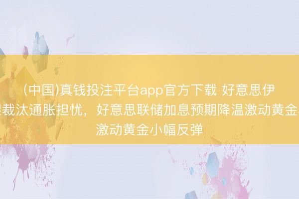 (中国)真钱投注平台app官方下载 好意思伊和平框架裁汰通胀担忧，好意思联储加息预期降温激动黄金小幅反弹