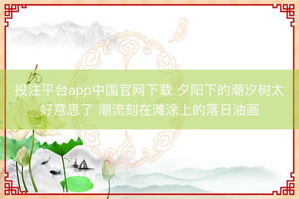 投注平台app中国官网下载 夕阳下的潮汐树太好意思了 潮流刻在滩涂上的落日油画